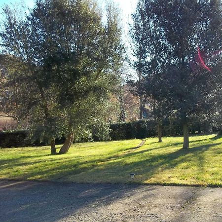 Beautiful Villa in Maremma Farnese Extérieur photo